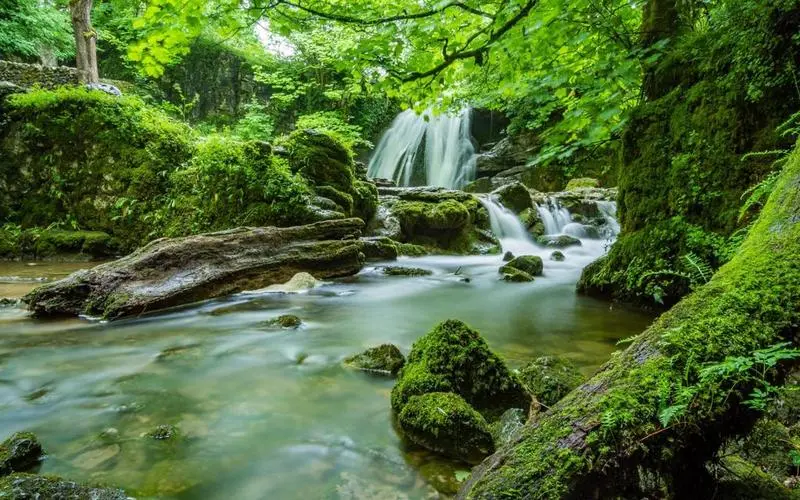 高标准智能化
